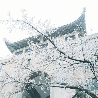 北京确诊一例奥密克戎，病例居住小区封闭